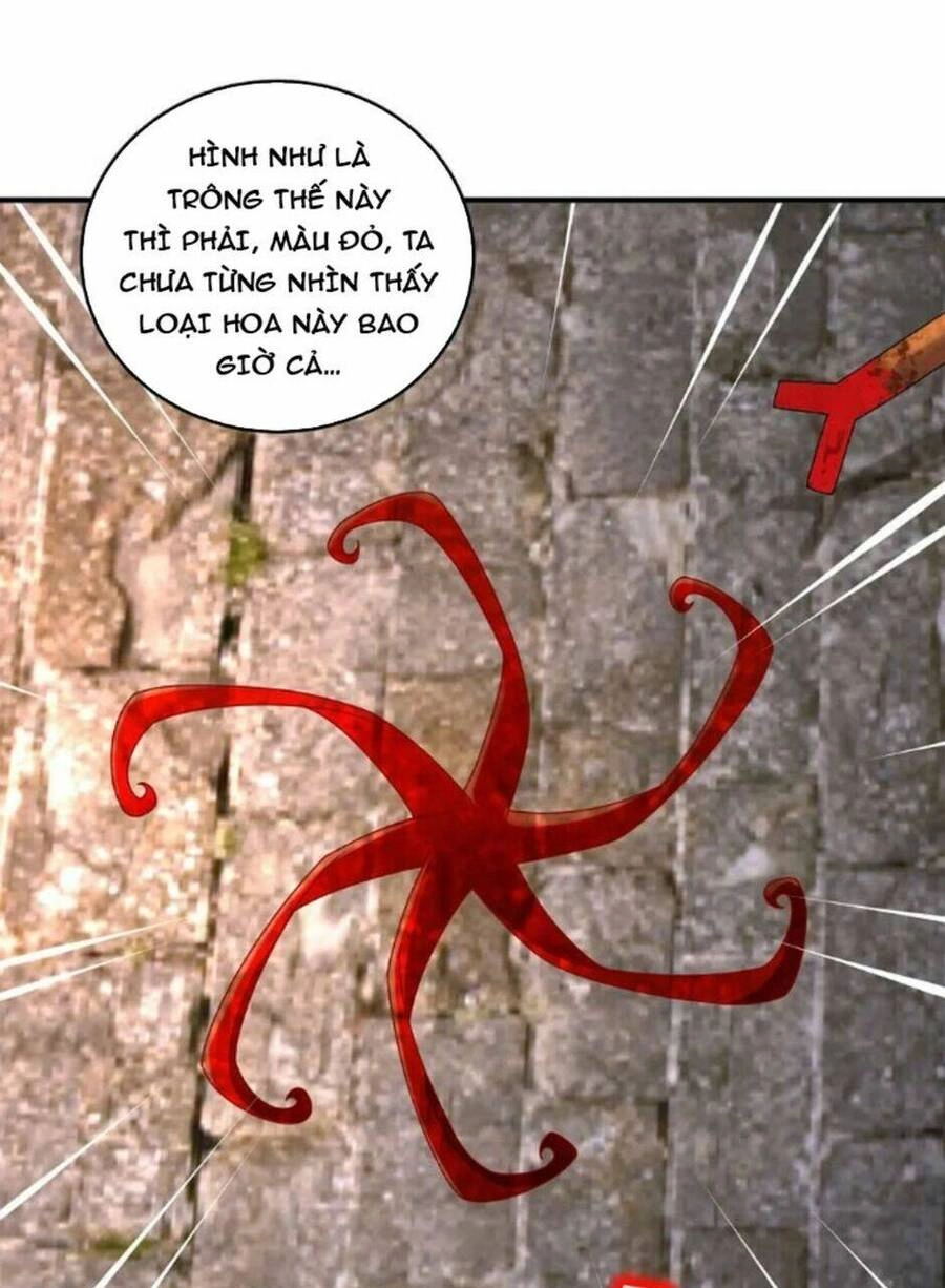 Tuyệt Sắc Đạo Lữ Đều Nói Ngô Hoàng Thể Chất Vô Địch Chapter 71 - 39