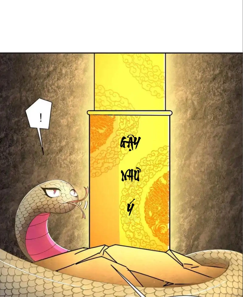 Tuyệt Sắc Đạo Lữ Đều Nói Ngô Hoàng Thể Chất Vô Địch Chapter 194 - 29