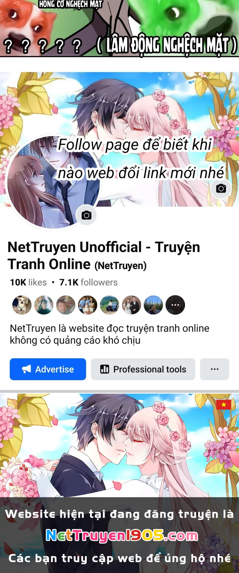 Tuyệt Sắc Đạo Lữ Đều Nói Ngô Hoàng Thể Chất Vô Địch Chapter 407 - 52