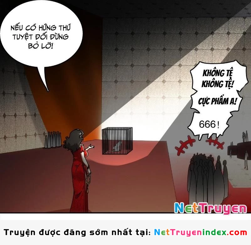 Tuyệt Sắc Đạo Lữ Đều Nói Ngô Hoàng Thể Chất Vô Địch Chapter 412 - 11