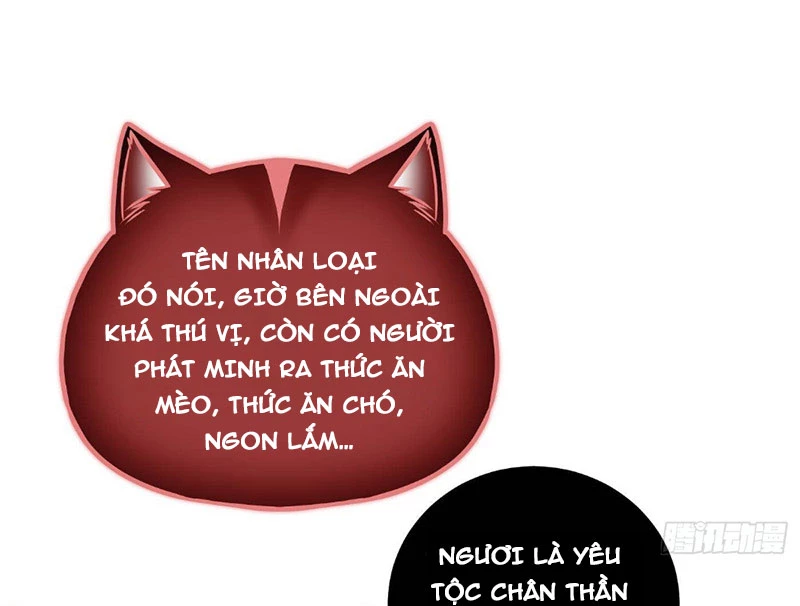 Toàn Cầu Cao Võ Chapter 334 - 63