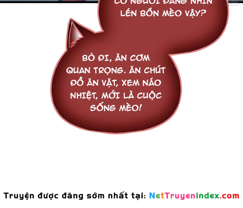 Toàn Cầu Cao Võ Chapter 335 - 8