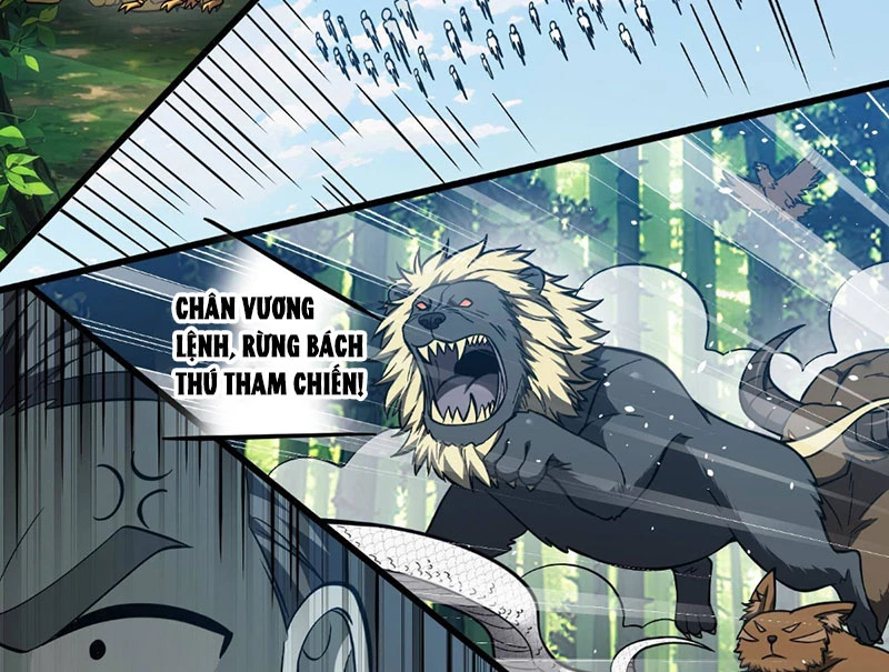 Toàn Cầu Cao Võ Chapter 335 - 17