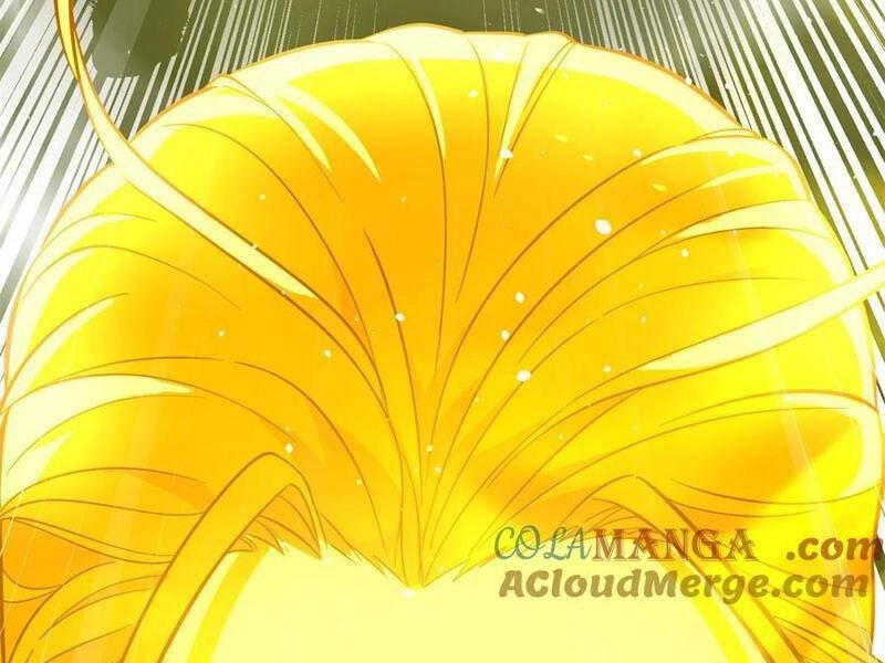 Toàn Cầu Cao Võ Chapter 258 - 126