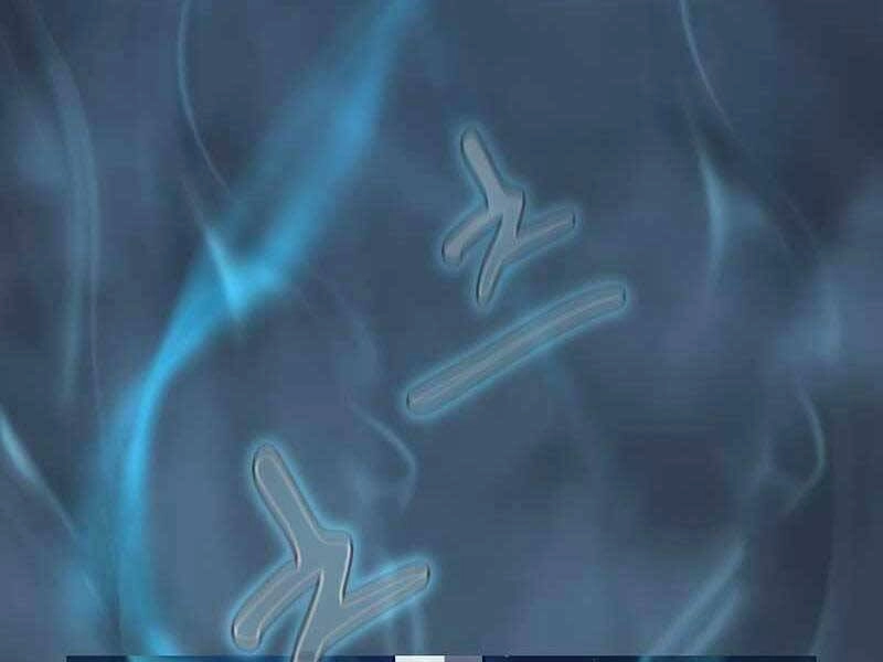 Thợ Săn Kỳ Ảo Chapter 19 - 175