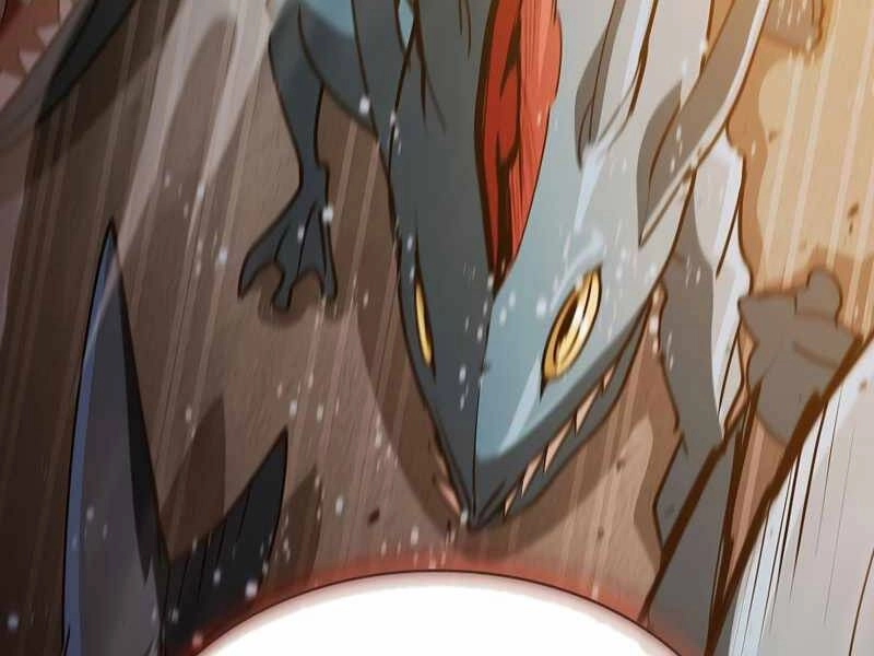 Thợ Săn Kỳ Ảo Chapter 22 - 176