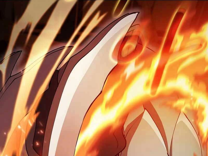 Thợ Săn Kỳ Ảo Chapter 29 - 195