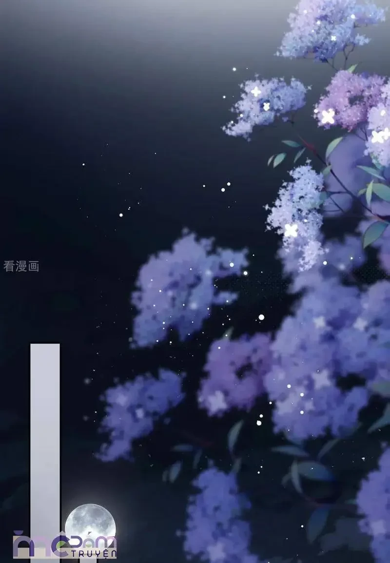 Tùy Ý Thiêu Đốt Lửa Tình Chapter 95.2 - 11