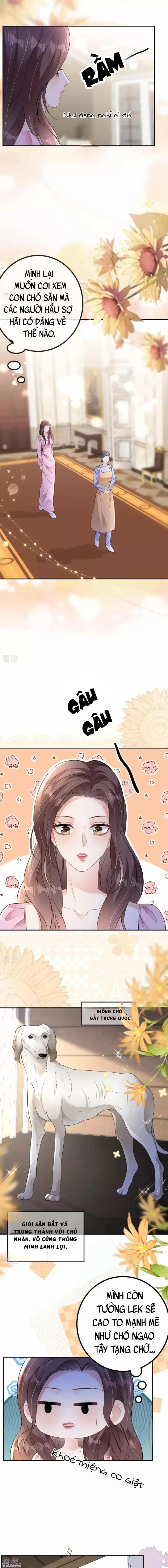 Tùy Ý Thiêu Đốt Lửa Tình Chapter 113.1 - 9