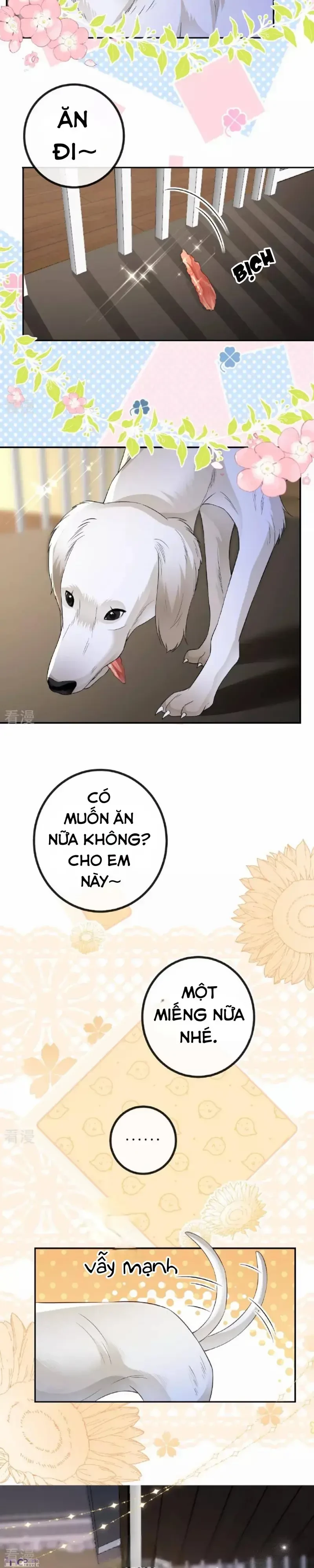 Tùy Ý Thiêu Đốt Lửa Tình Chapter 113.2 - 5