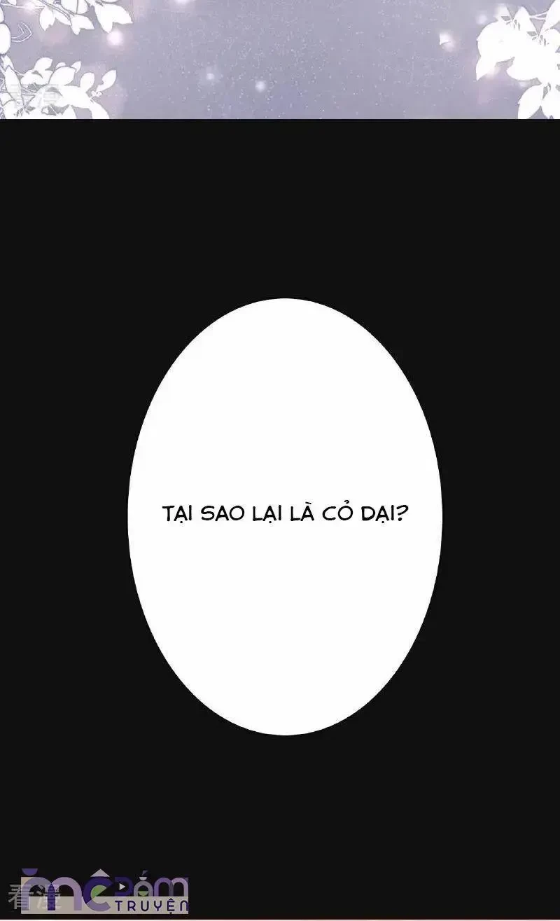 Tùy Ý Thiêu Đốt Lửa Tình Chapter 122.1 - 14