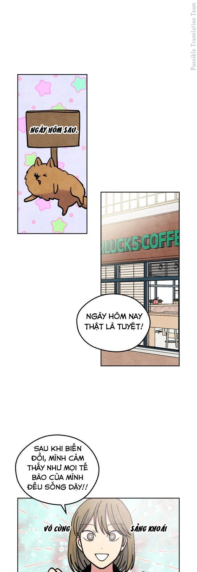 Tai Sói Và Mũ Đỏ Chapter 27 - 29