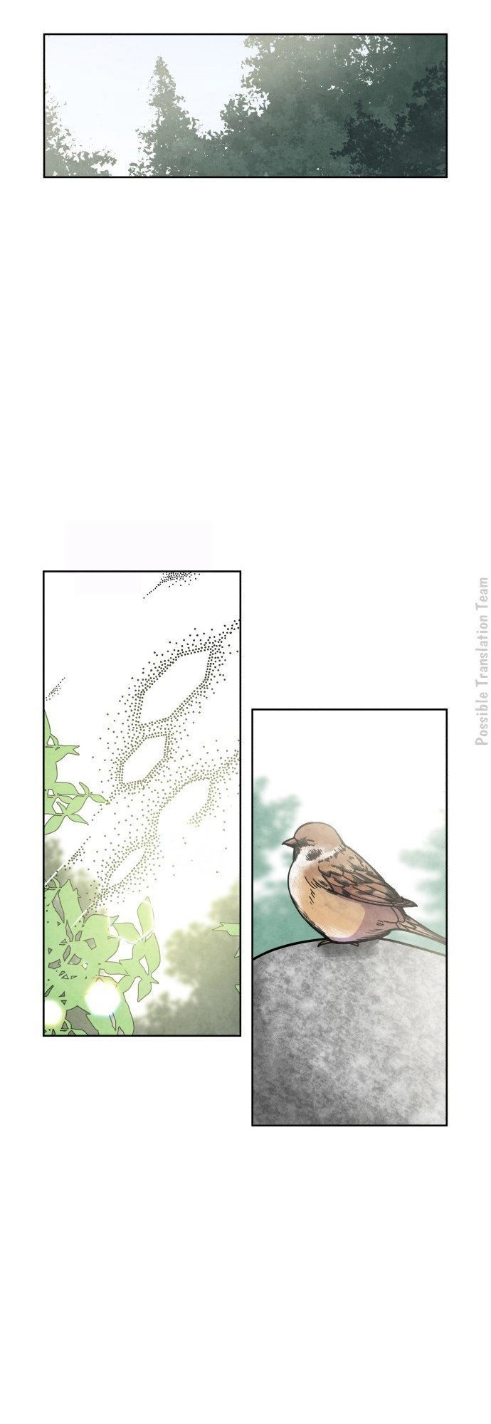 Tai Sói Và Mũ Đỏ Chapter 27 - 37