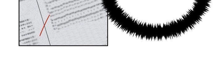 Tai Sói Và Mũ Đỏ Chapter 27 - 41