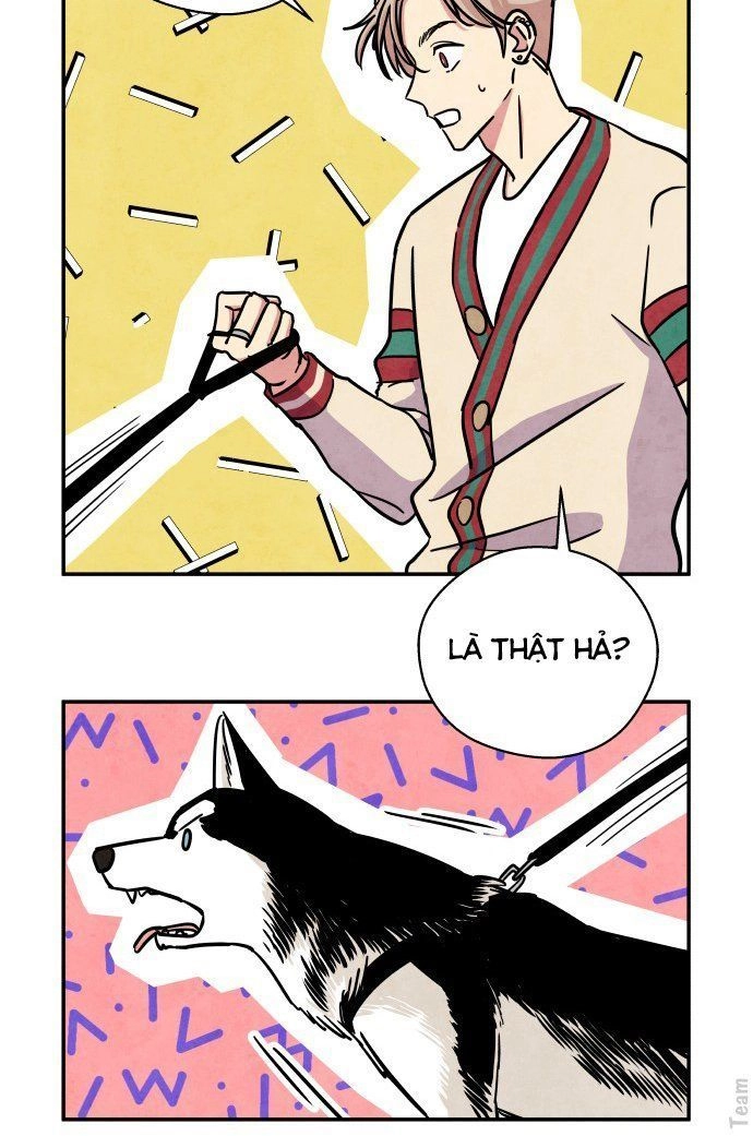 Tai Sói Và Mũ Đỏ Chapter 28 - 38