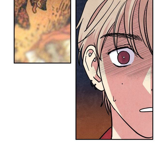 Tai Sói Và Mũ Đỏ Chapter 28 - 42