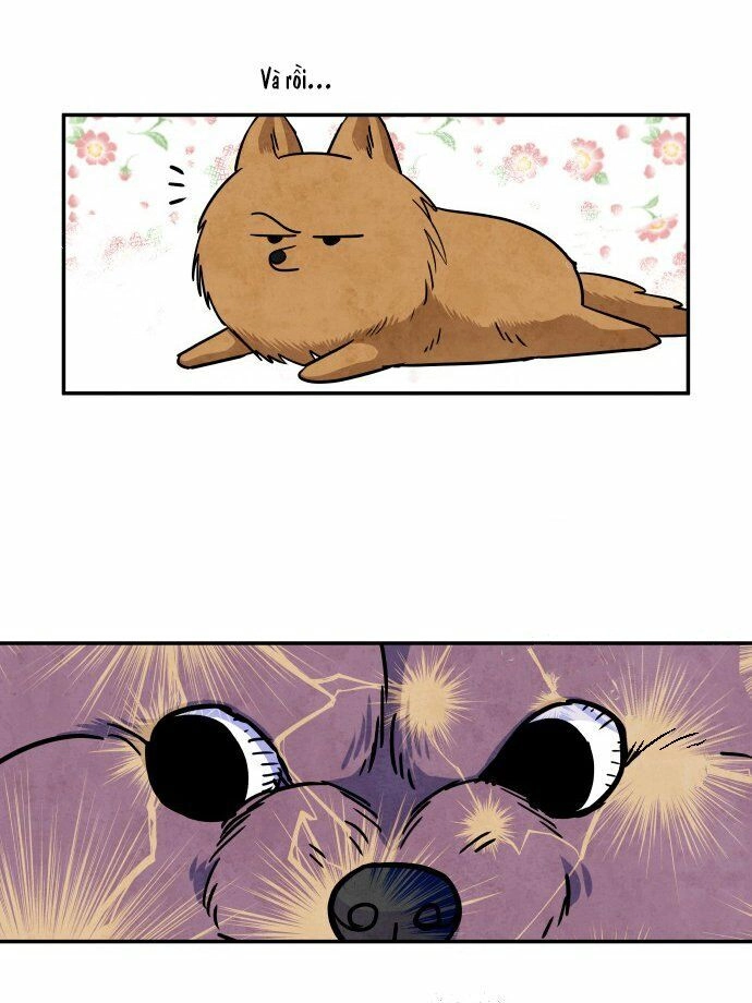 Tai Sói Và Mũ Đỏ Chapter 31 - 11