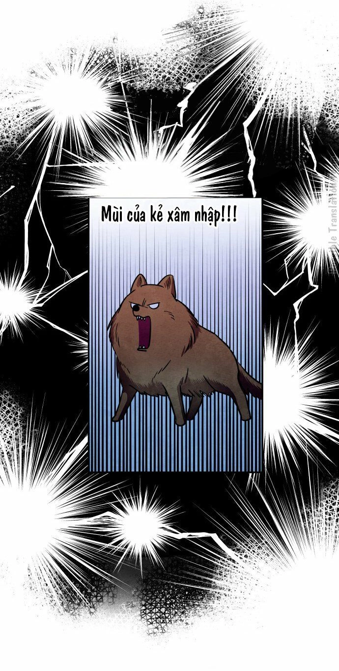 Tai Sói Và Mũ Đỏ Chapter 31 - 12