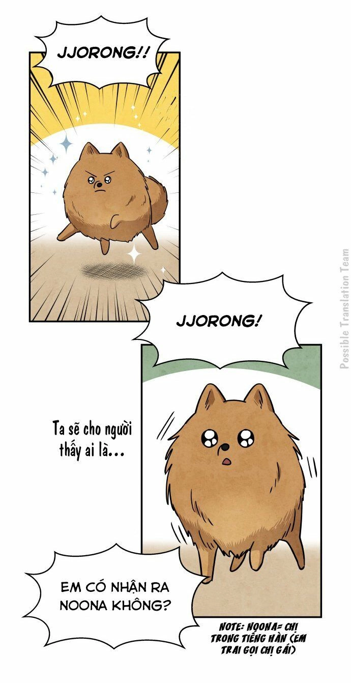 Tai Sói Và Mũ Đỏ Chapter 31 - 14