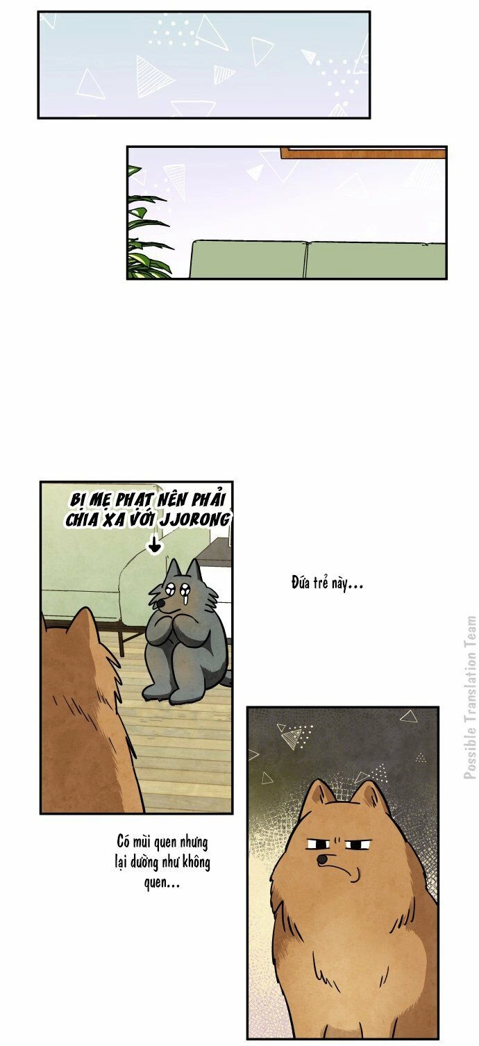 Tai Sói Và Mũ Đỏ Chapter 31 - 17