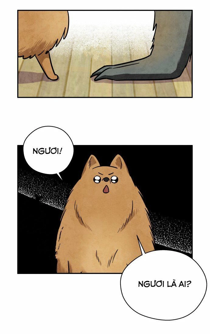 Tai Sói Và Mũ Đỏ Chapter 31 - 18