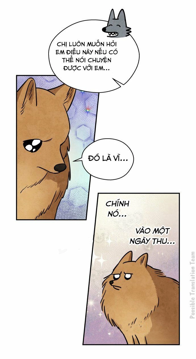 Tai Sói Và Mũ Đỏ Chapter 31 - 24