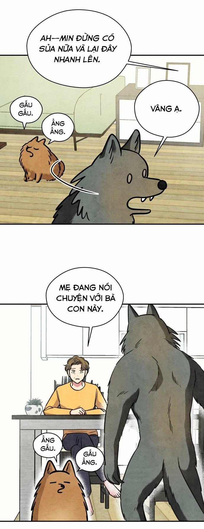 Tai Sói Và Mũ Đỏ Chapter 31 - 25