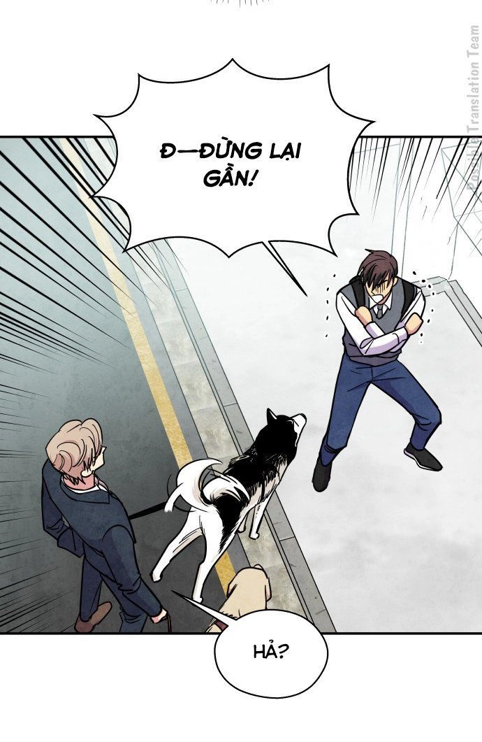 Tai Sói Và Mũ Đỏ Chapter 32 - 24