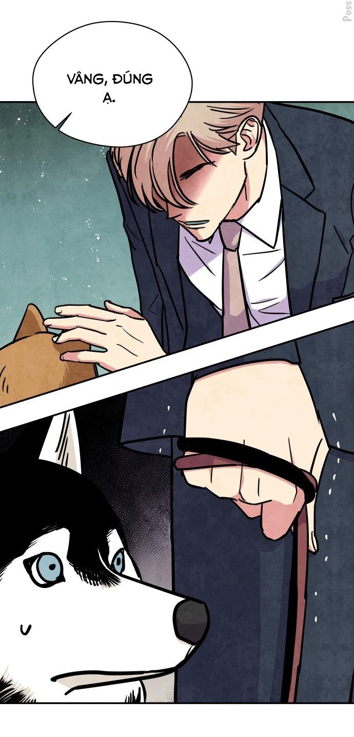 Tai Sói Và Mũ Đỏ Chapter 33 - 38