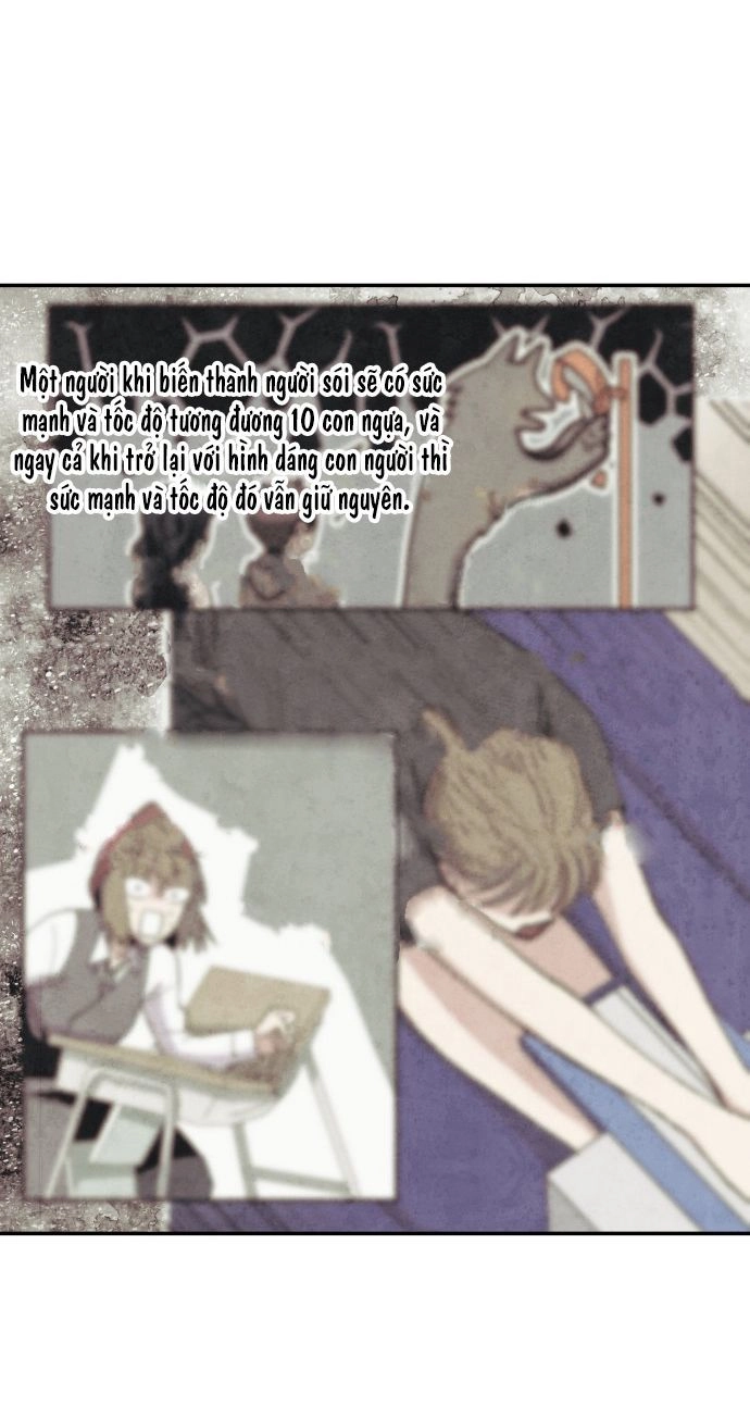 Tai Sói Và Mũ Đỏ Chapter 34 - 27