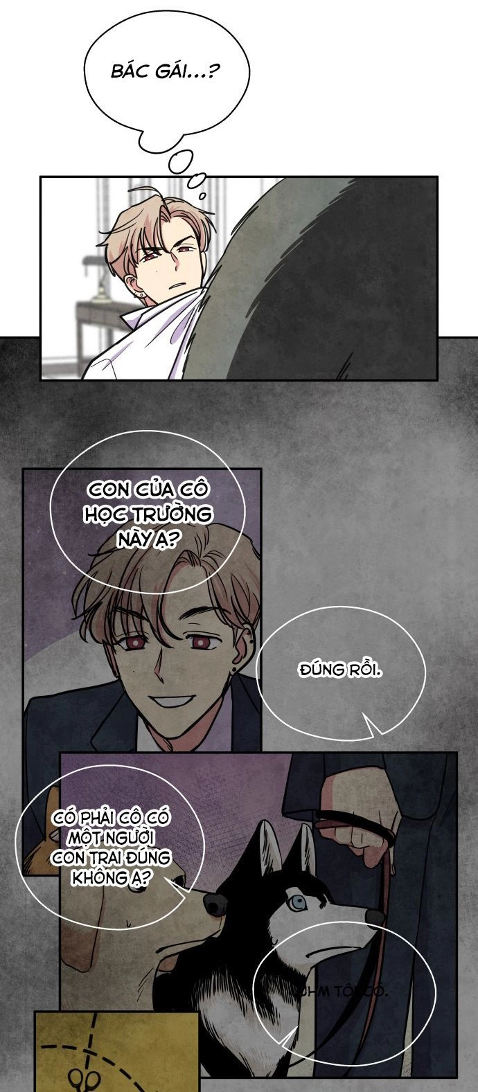 Tai Sói Và Mũ Đỏ Chapter 35 - 15