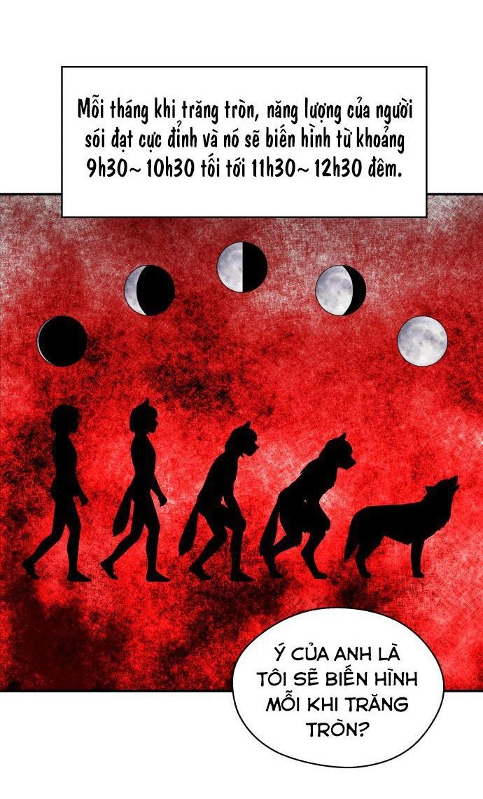 Tai Sói Và Mũ Đỏ Chapter 36 - 21