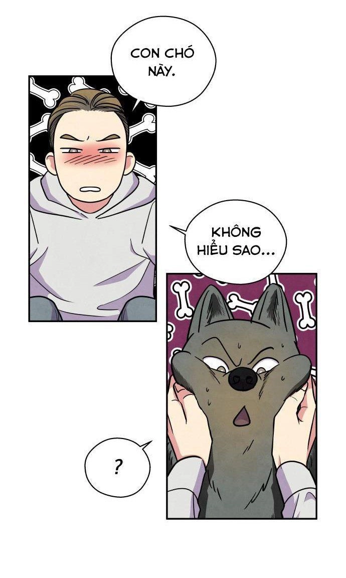 Tai Sói Và Mũ Đỏ Chapter 38 - 22