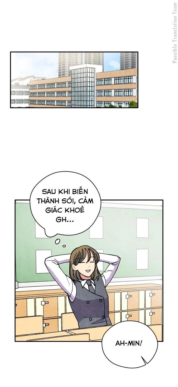 Tai Sói Và Mũ Đỏ Chapter 39 - 3