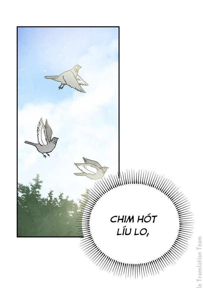 Tai Sói Và Mũ Đỏ Chapter 40 - 40