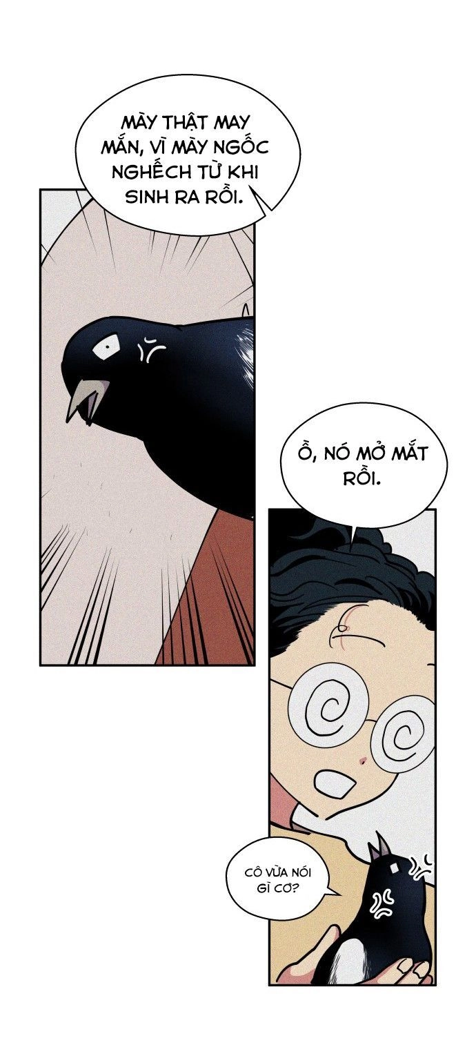 Tai Sói Và Mũ Đỏ Chapter 42 - 67