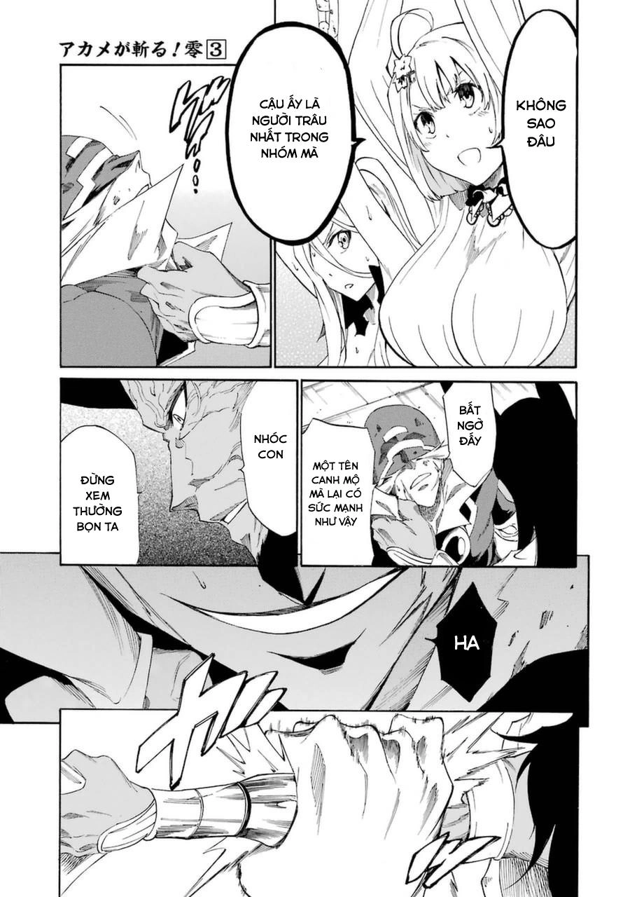 Akame Ga Kill! Zero Chapter 20 - 13