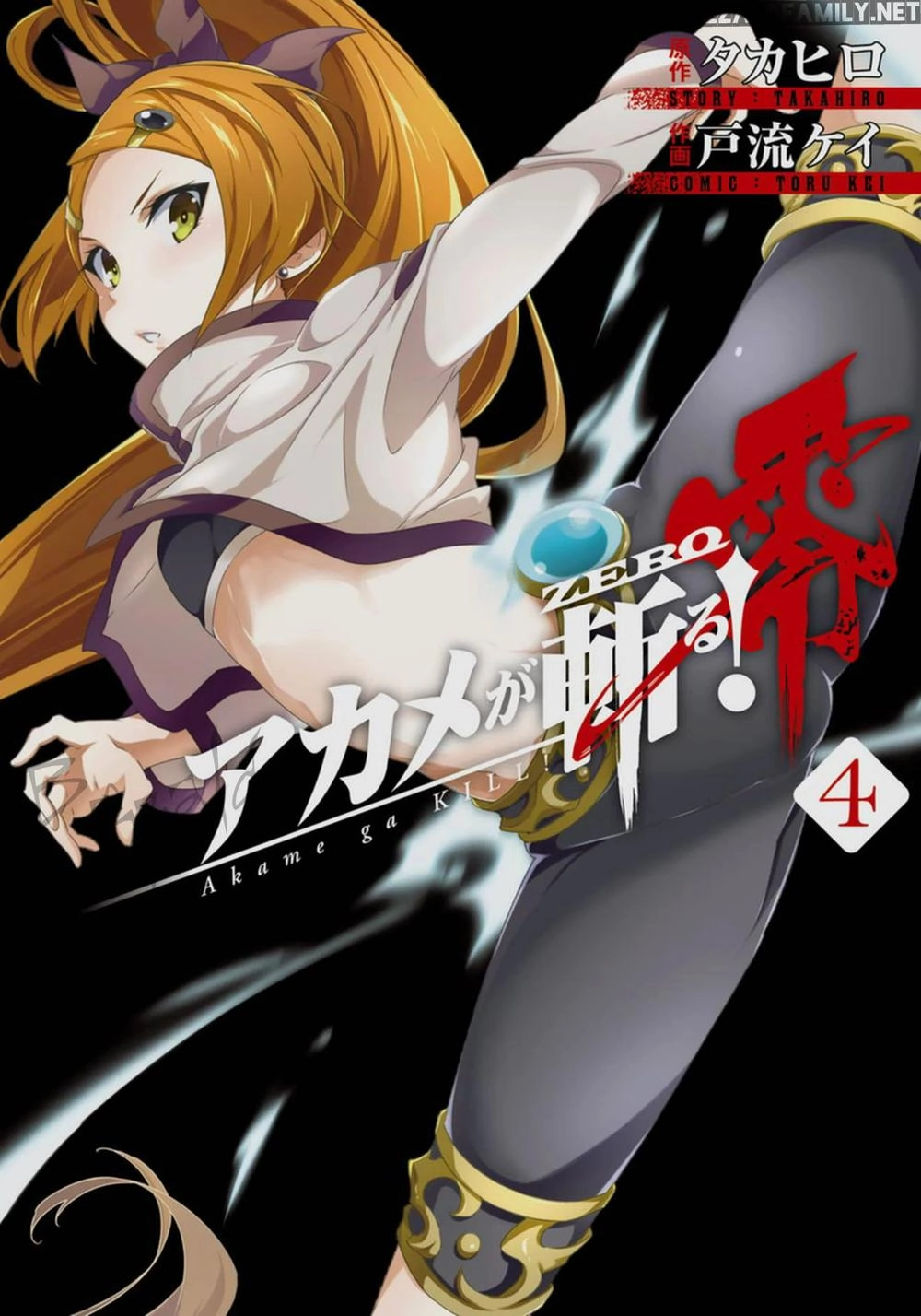 Akame Ga Kill! Zero Chapter 21 - 1