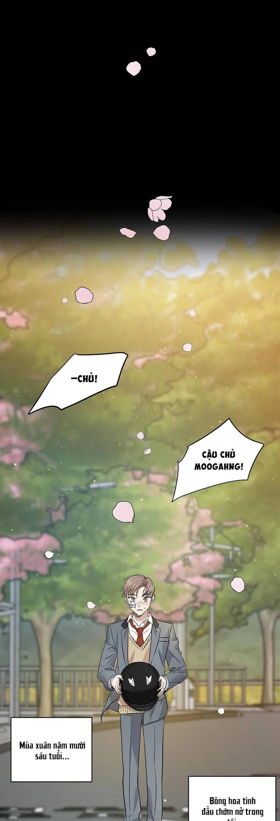 Trước Khi Cái Chết Chia Lìa Đôi Ta Chapter 29 - 11