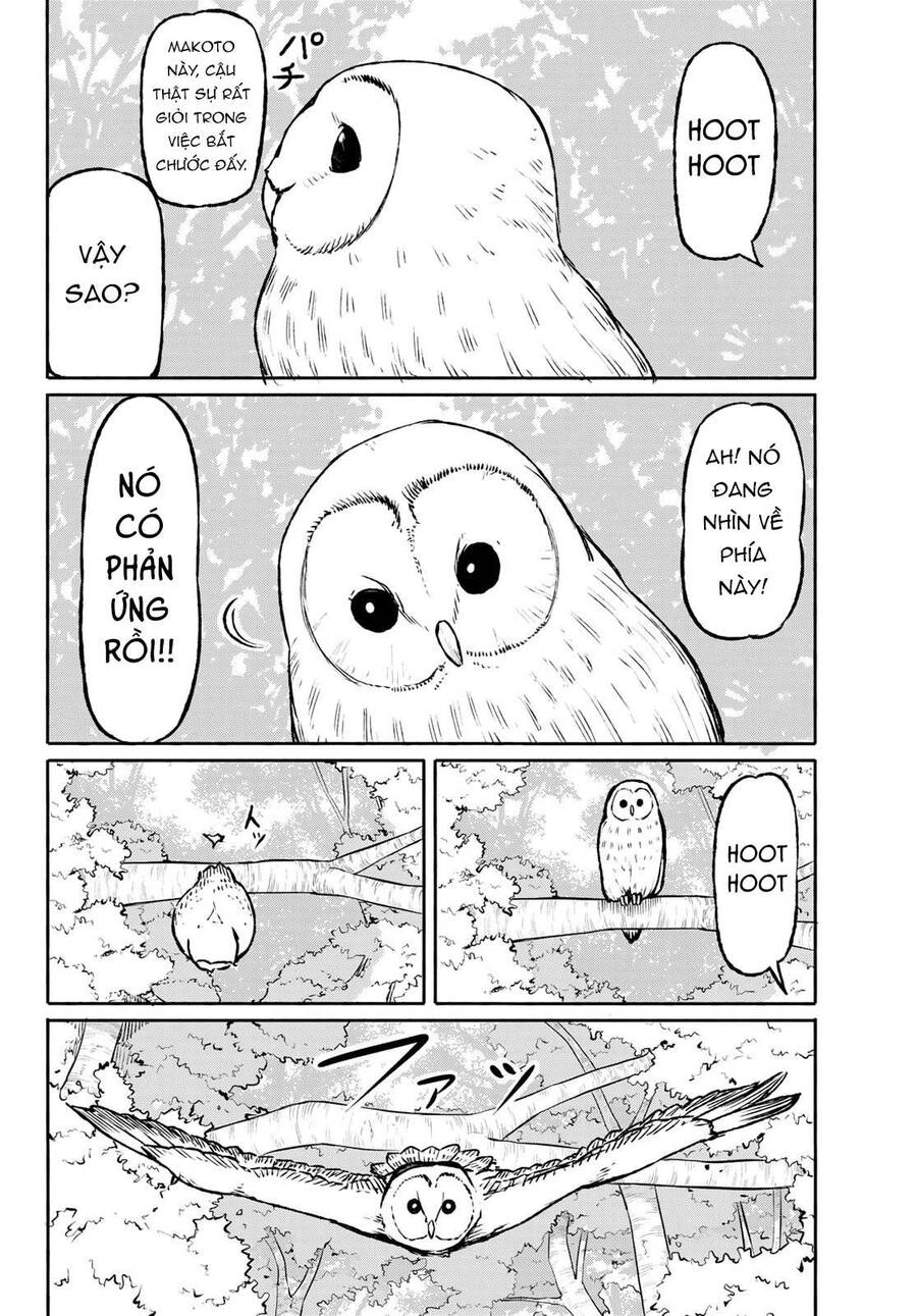 Flying Witch Chapter 47 - 8