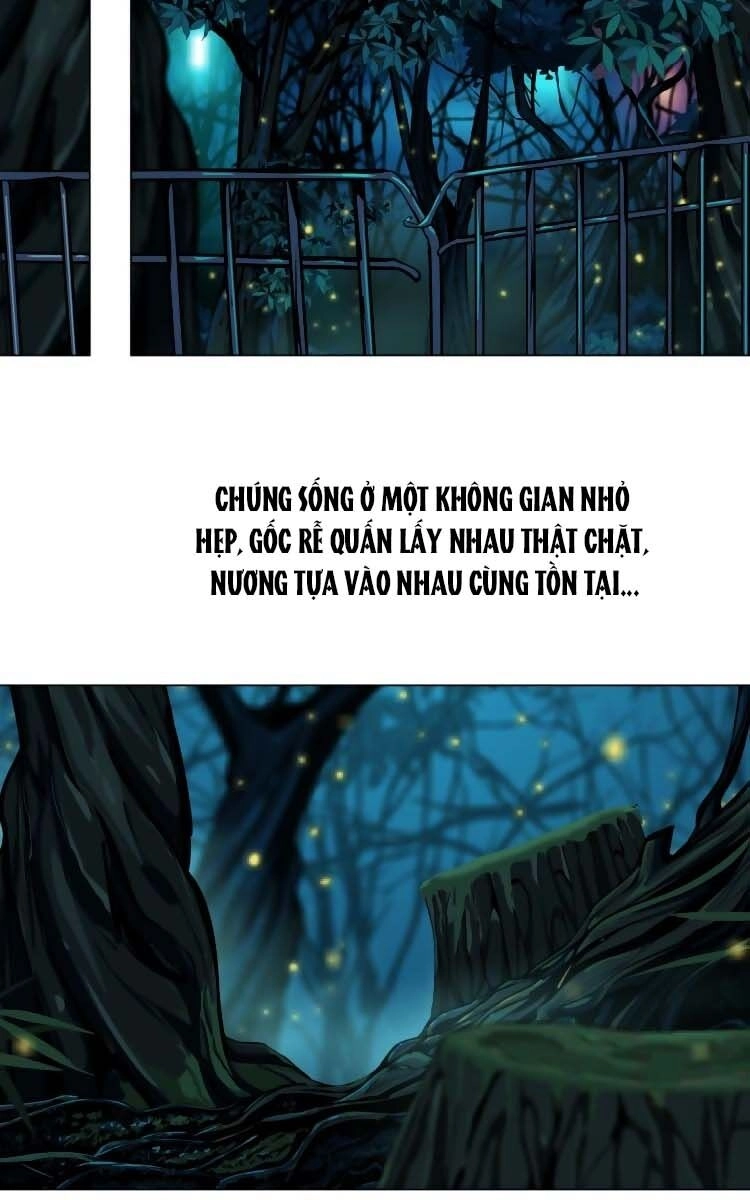 Đằng Nữ Chapter 4 - 14