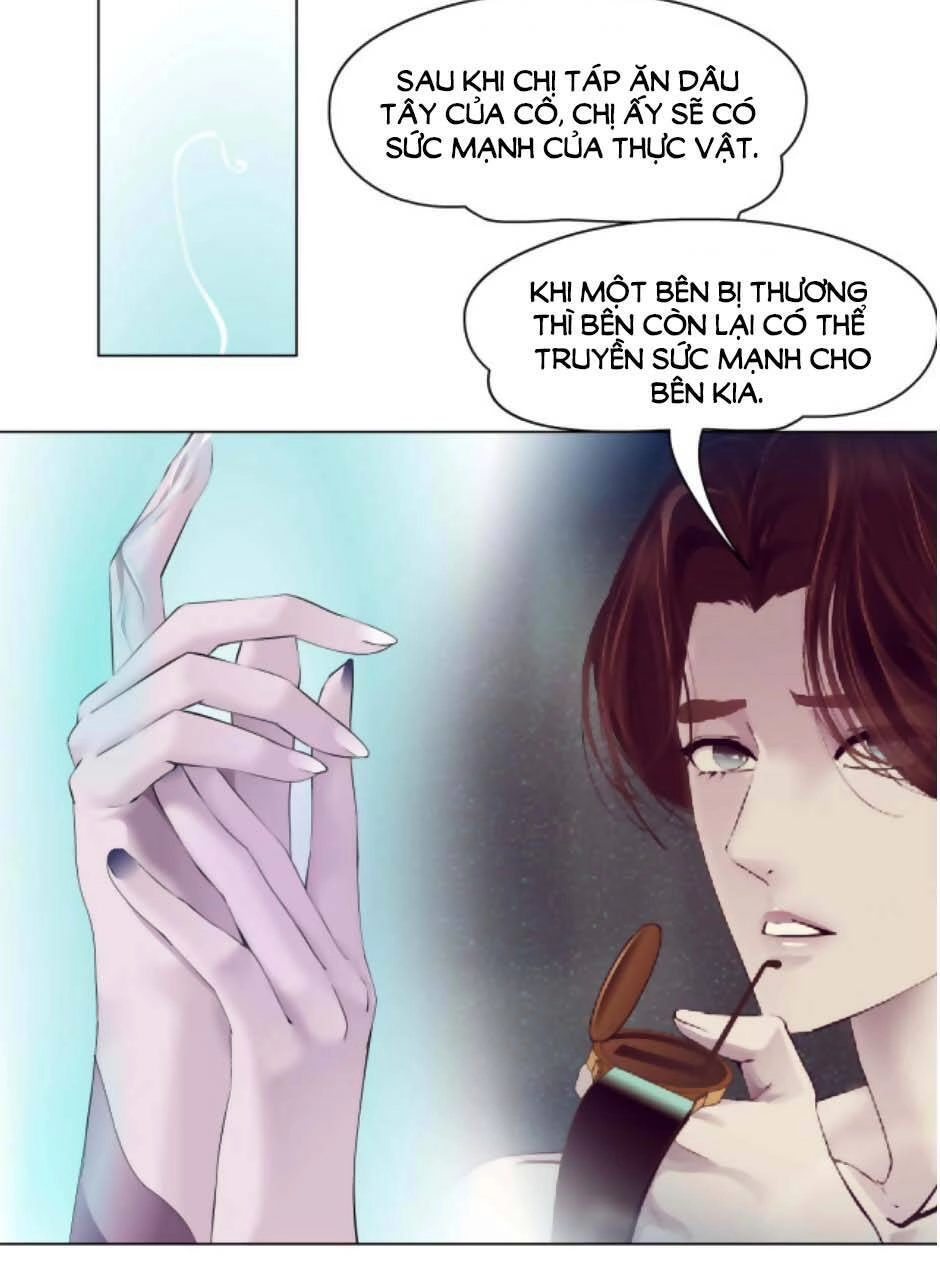 Đằng Nữ Chapter 41 - 15