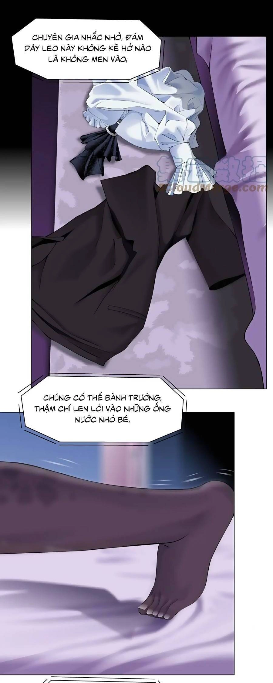 Đằng Nữ Chapter 157 - 7