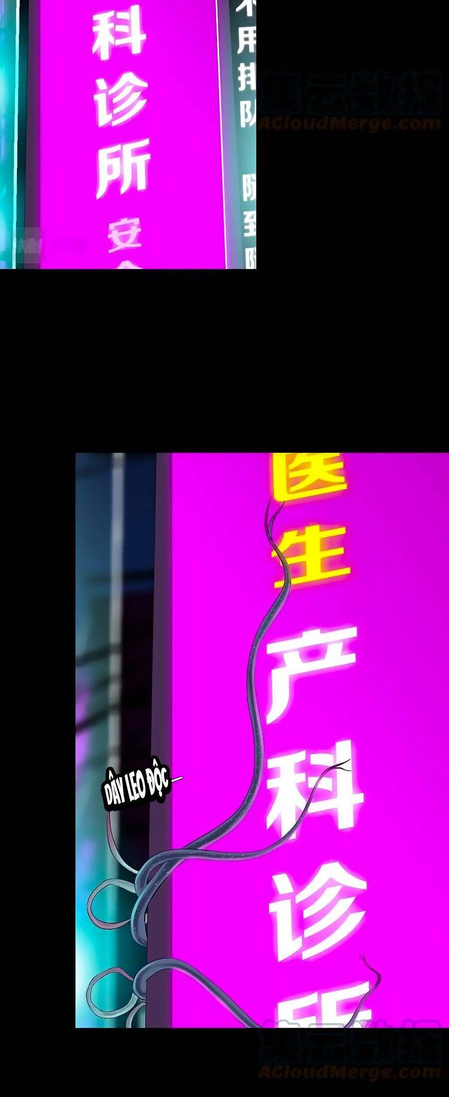 Đằng Nữ Chapter 166 - 16