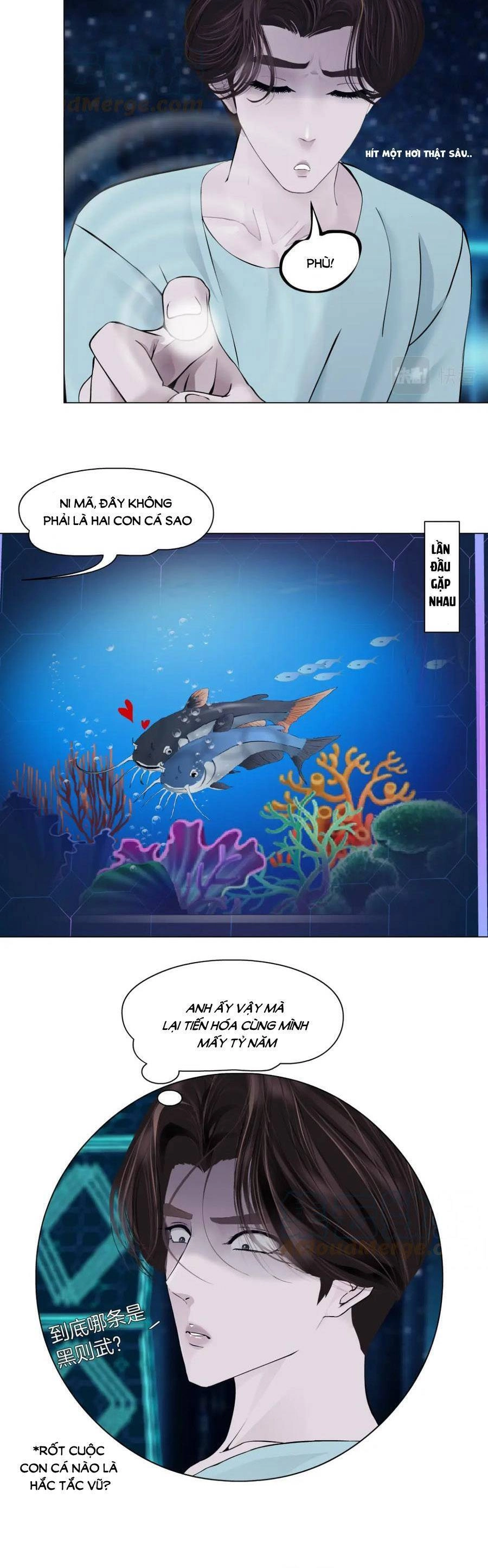 Đằng Nữ Chapter 190 - 17