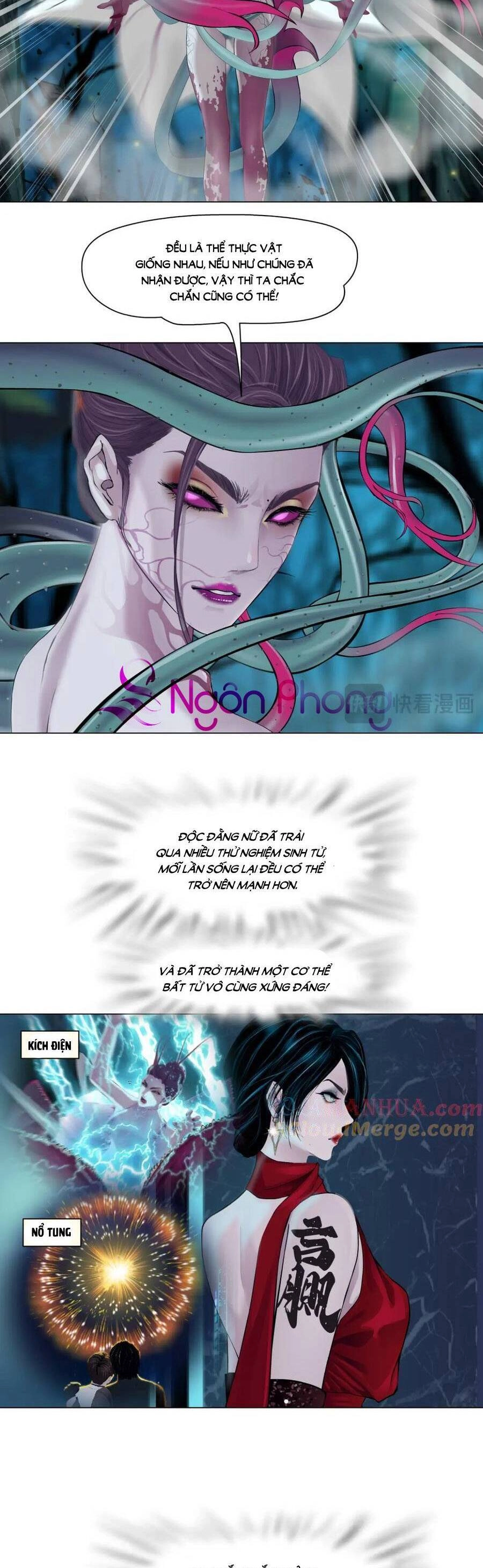 Đằng Nữ Chapter 233 - 6