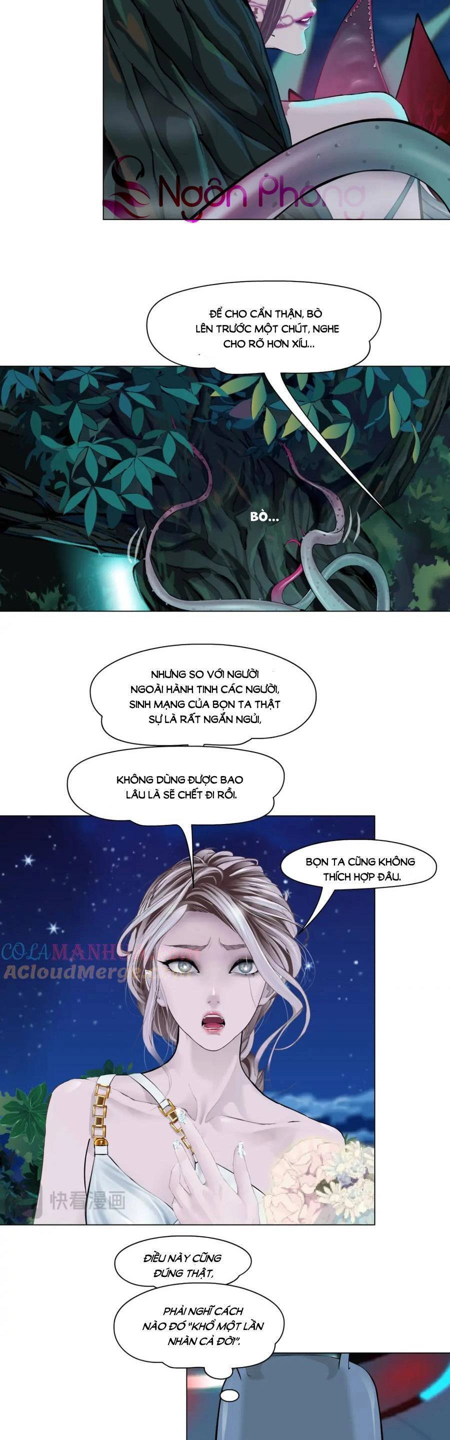 Đằng Nữ Chapter 233 - 16