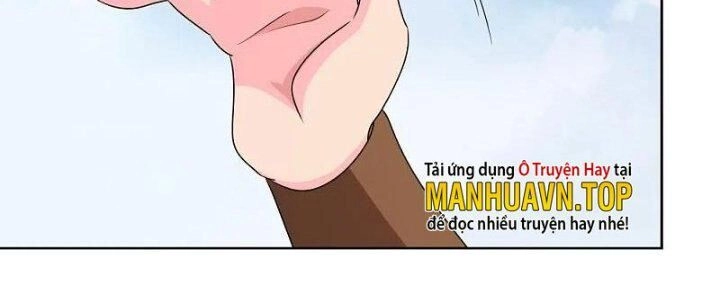 Tôn Thượng Chapter 446 - 28