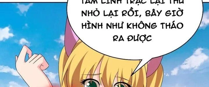 Tôn Thượng Chapter 448 - 17