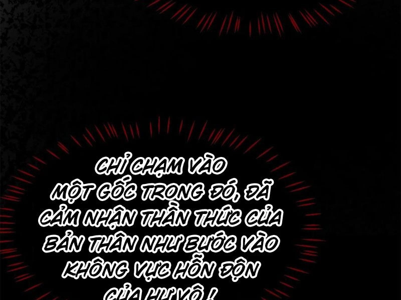 Tu Luyện Thành Tiên Ta Chỉ Muốn Nuôi Nữ Đồ Đệ Chapter 156 - 84